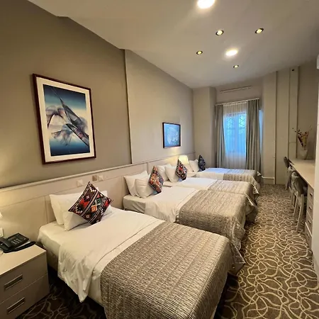 Отель Aria Palace Taksim Стамбул