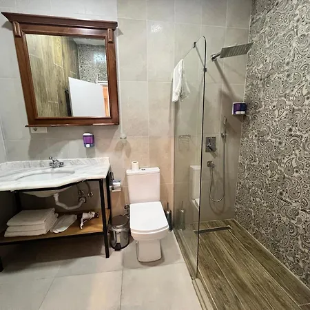 Aria Palace Taksim Hotel