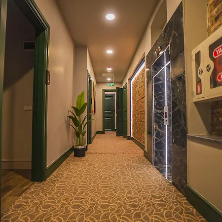 Ξενοδοχείο Aria Palace Taksim 3*