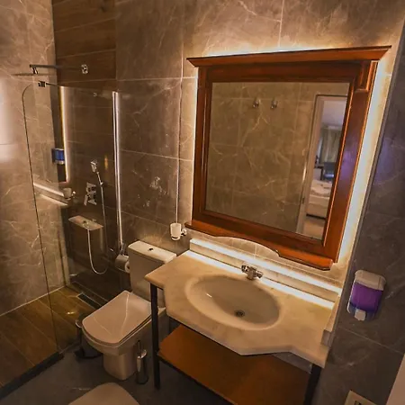 Aria Palace Taksim 酒店 3*