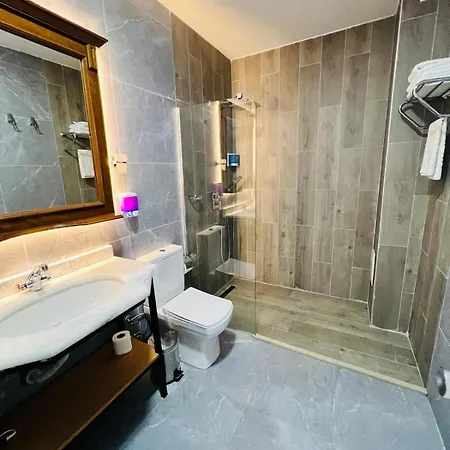 Aria Palace Taksim 酒店 3*