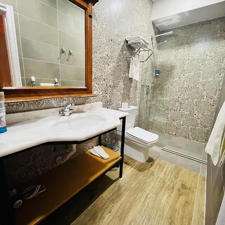 Aria Palace Taksim 伊斯坦布尔