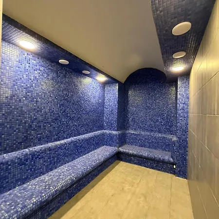 酒店 Aria Palace Taksim 3*