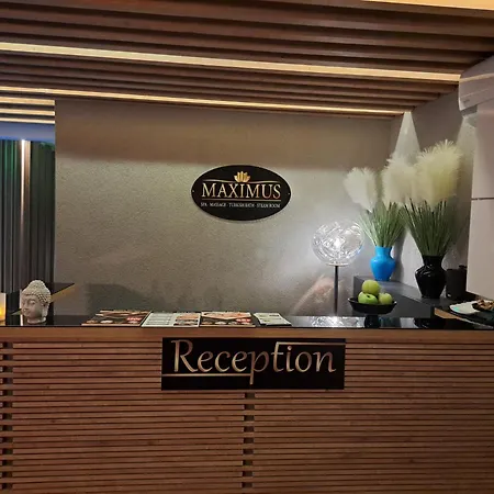 酒店 Aria Palace Taksim 3*